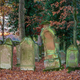 Spooky old cemetery in the deep, dark woods